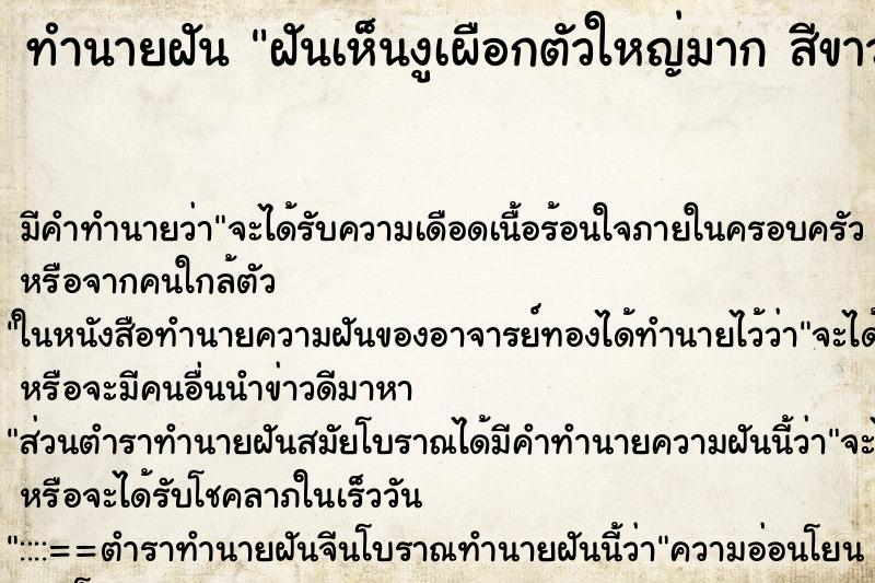 ทำนายฝันฝันเห็นงูเผือกตัวใหญ่มากสีขาวปนเหลืองทองนวล ทำนายฝันทำนายฝันฝันเห็นงูเผือกตัวใหญ่มากสีขาวปนเหลืองทองนวล